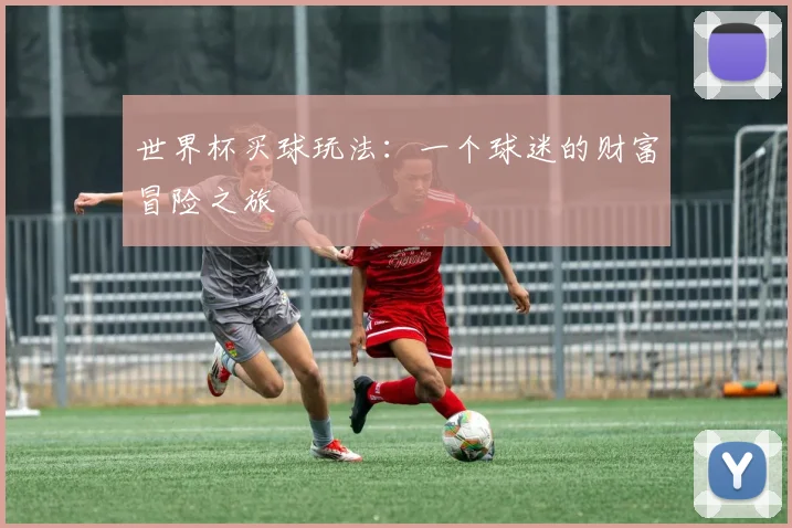 世界杯买球玩法：一个球迷的财富冒险之旅