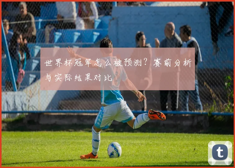 世界杯冠军怎么被预测？赛前分析与实际结果对比
