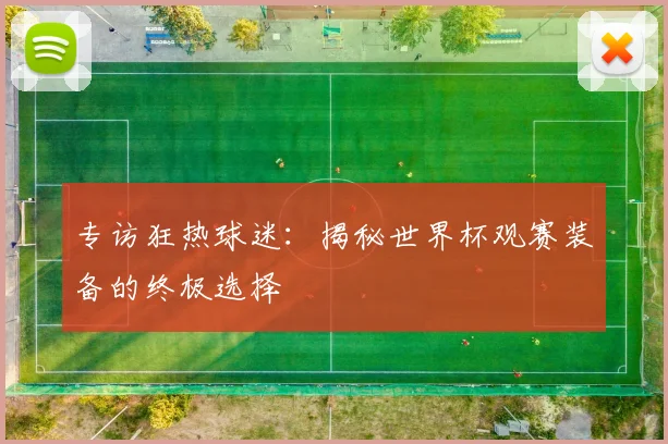 专访狂热球迷：揭秘世界杯观赛装备的终极选择