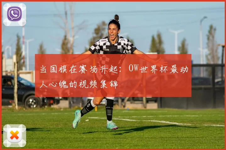 当国旗在赛场升起：OW世界杯最动人心魄的视频集锦