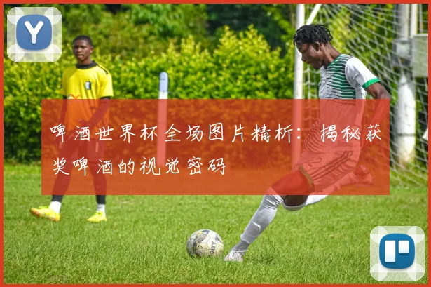 啤酒世界杯全场图片精析：揭秘获奖啤酒的视觉密码