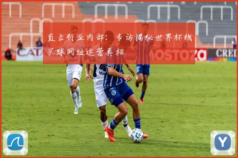 直击行业内部：专访揭秘世界杯线买球网址运营真相