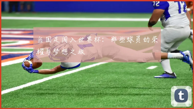 当国足闯入世界杯：那些球员的荣耀与梦想之旅