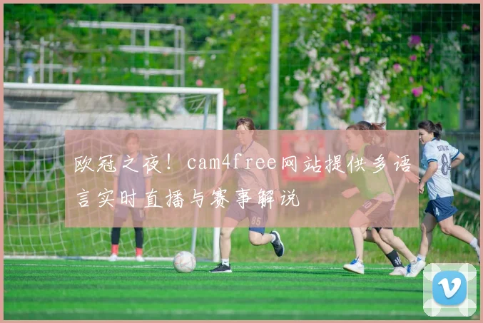 欧冠之夜！cam4free网站提供多语言实时直播与赛事解说